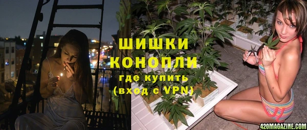 тгк Аркадак