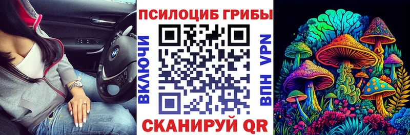 купить наркотик  даркнет Telegram  Псилоцибиновые грибы GOLDEN TEACHER  Менделеевск 